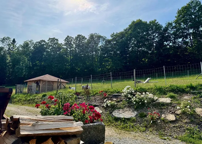 Waldlerhof Apartamento *