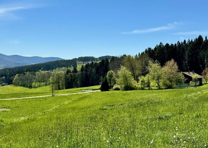 Waldlerhof Apartamento