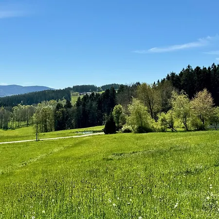 Апартаменты Waldlerhof Patersdorf