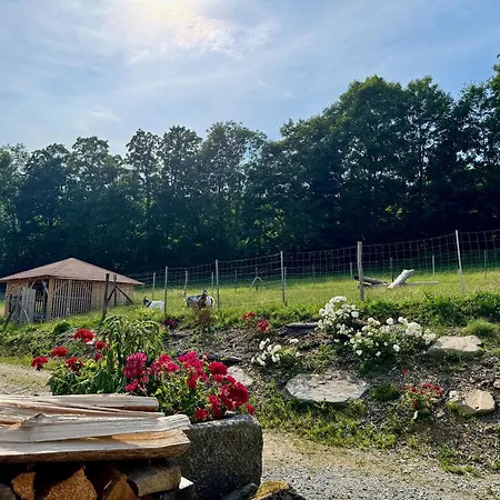 Waldlerhof Lejlighed *