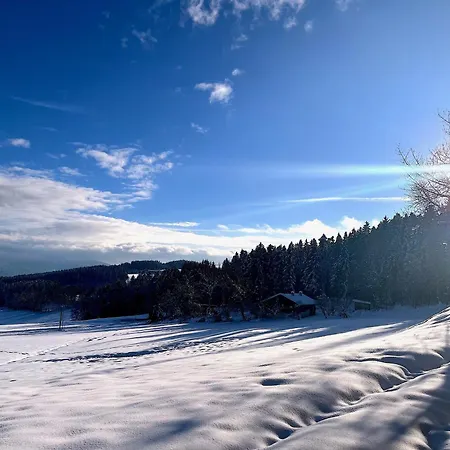 Waldlerhof Apartamento Patersdorf